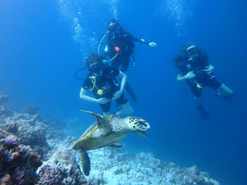 Furaveri Island Resort And Spa Muravandhoo Servizi foto